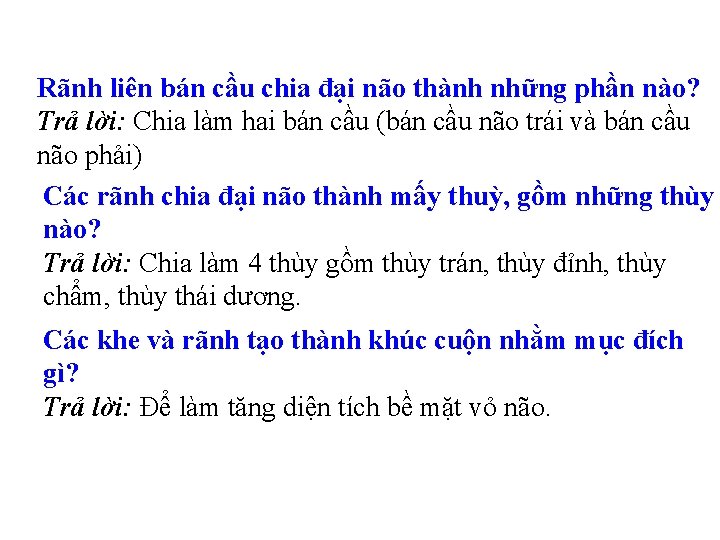 Rãnh liên bán cầu chia đại não thành những phần nào? Trả lời: Chia