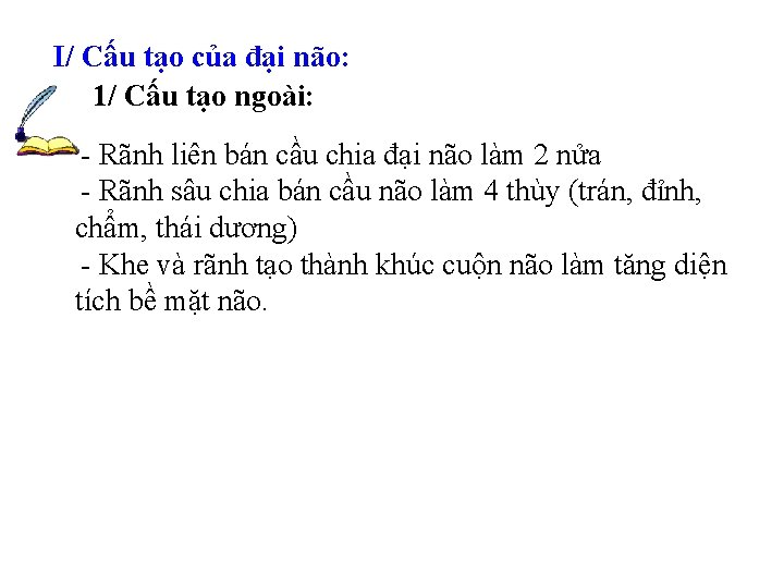I/ Cấu tạo của đại não: 1/ Cấu tạo ngoài: - Rãnh liên bán