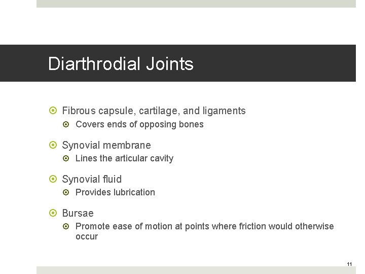 Diarthrodial Joints Fibrous capsule, cartilage, and ligaments Covers ends of opposing bones Synovial membrane
