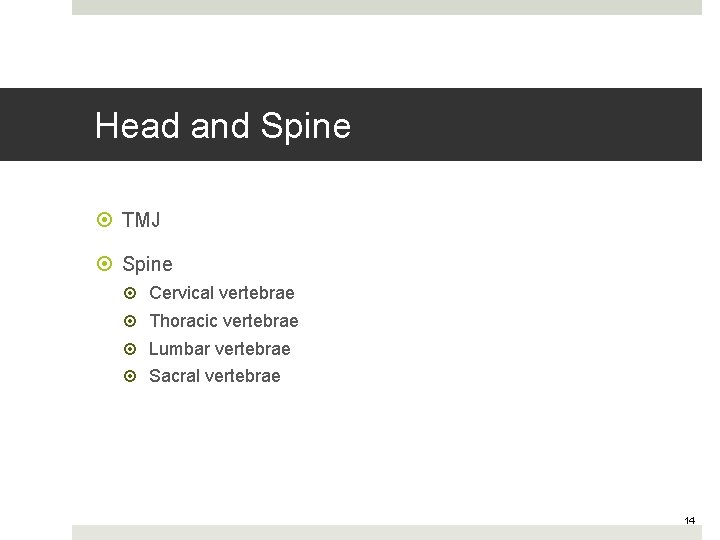 Head and Spine TMJ Spine Cervical vertebrae Thoracic vertebrae Lumbar vertebrae Sacral vertebrae 14