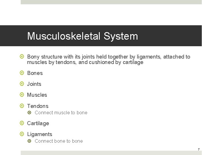 Musculoskeletal System Bony structure with its joints held together by ligaments, attached to muscles