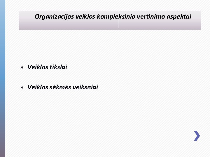 Organizacijos veiklos kompleksinio vertinimo aspektai » Veiklos tikslai » Veiklos sėkmės veiksniai 