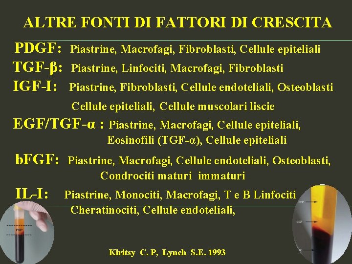 ALTRE FONTI DI FATTORI DI CRESCITA PDGF: TGF-β: IGF-I: Piastrine, Macrofagi, Fibroblasti, Cellule epiteliali