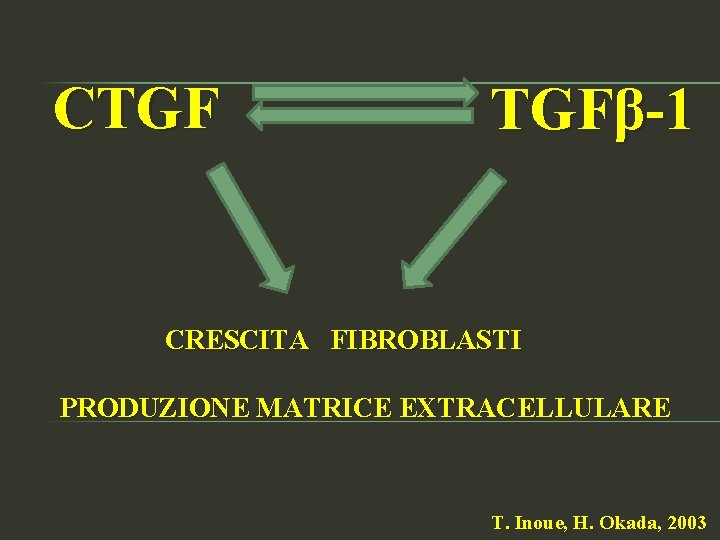 CTGF TGFβ-1 CRESCITA FIBROBLASTI PRODUZIONE MATRICE EXTRACELLULARE T. Inoue, H. Okada, 2003 