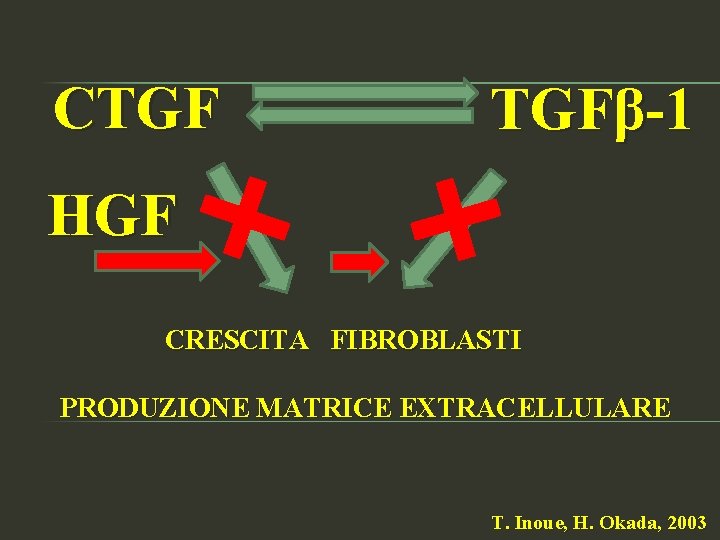 CTGF TGFβ-1 HGF CRESCITA FIBROBLASTI PRODUZIONE MATRICE EXTRACELLULARE T. Inoue, H. Okada, 2003 