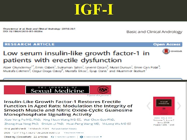 IGF-I 