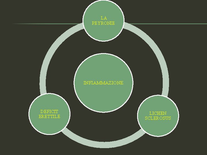 LA PEYRONIE INFIAMMAZIONE DEFICIT ERETTILE LICHEN SCLEROSUS 