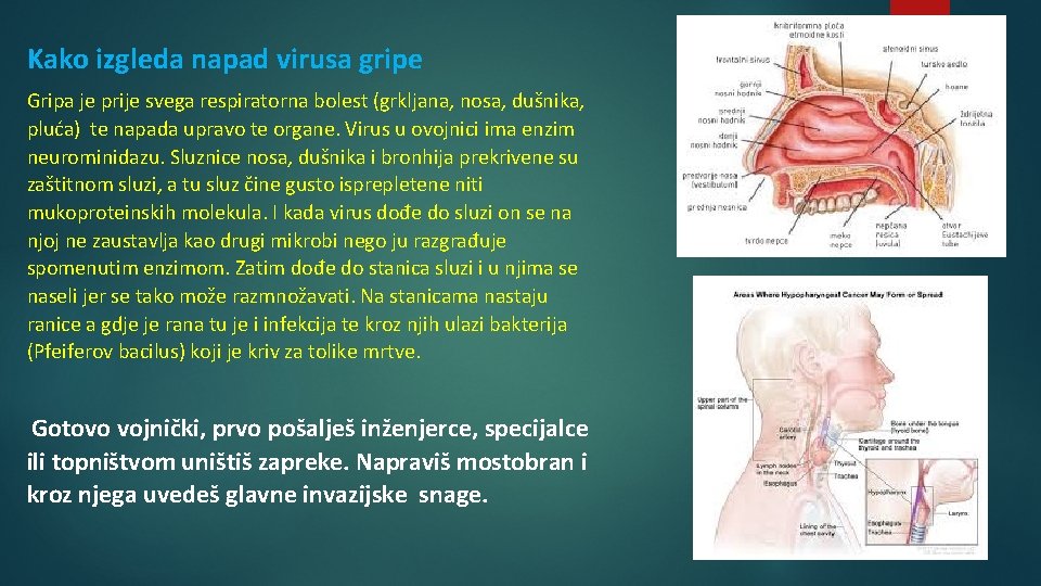 Kako izgleda napad virusa gripe Gripa je prije svega respiratorna bolest (grkljana, nosa, dušnika,