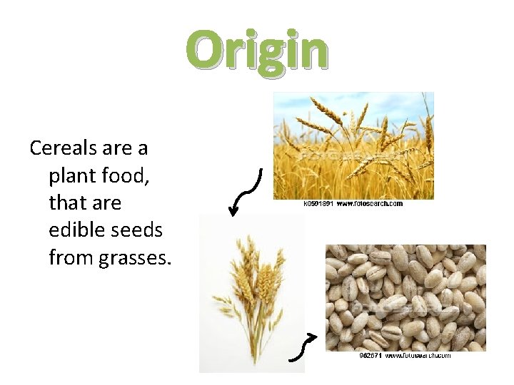 Origin Cereals are a plant food, that are edible seeds from grasses. 