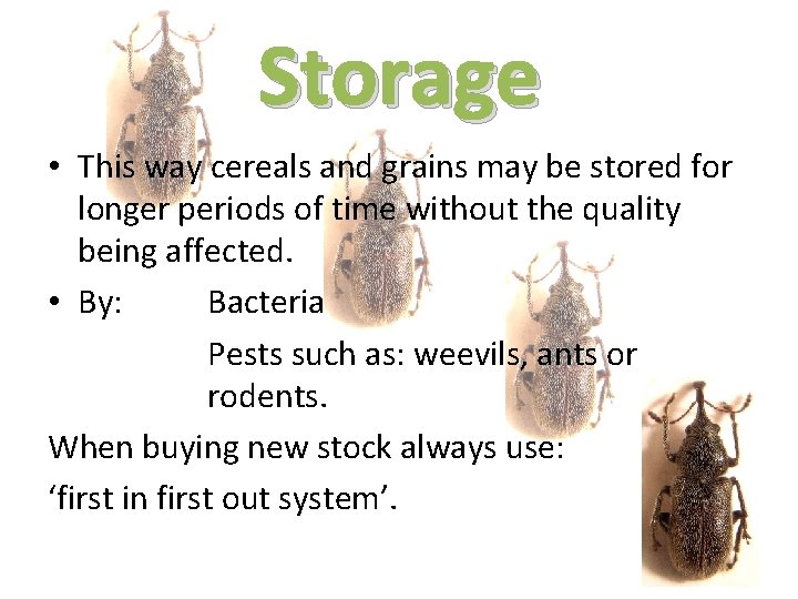 Storage • This way cereals and grains may be stored for longer periods of