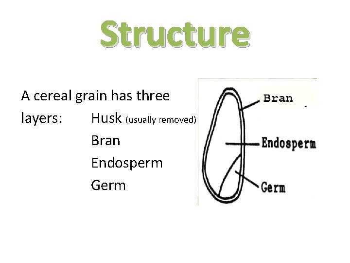 Structure A cereal grain has three layers: Husk (usually removed) Bran Endosperm Germ 