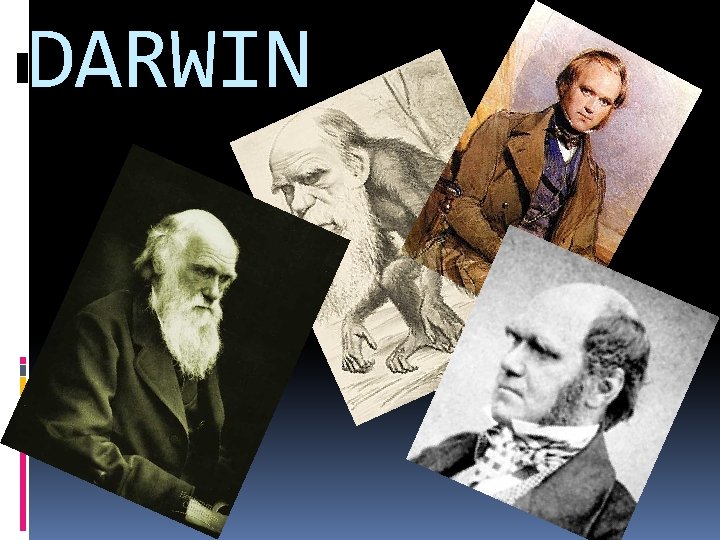 DARWIN 