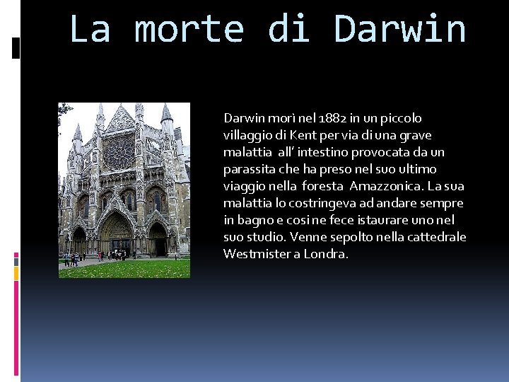 La morte di Darwin morì nel 1882 in un piccolo villaggio di Kent per