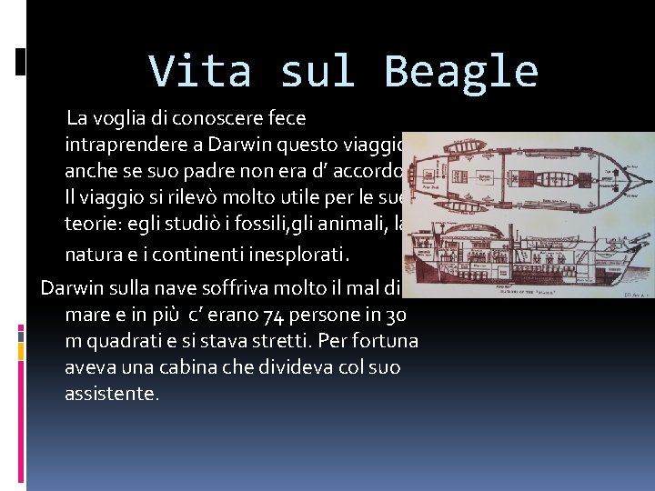 Vita sul Beagle La voglia di conoscere fece intraprendere a Darwin questo viaggio, anche