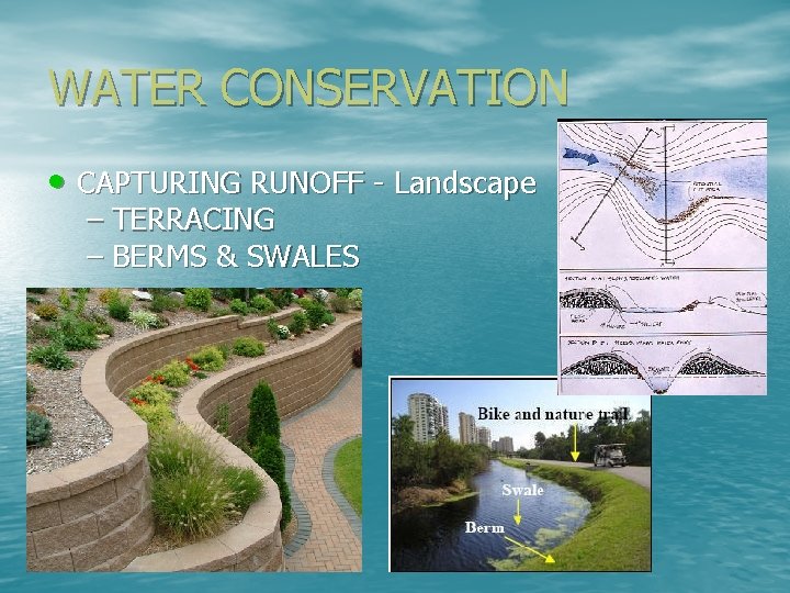 WATER CONSERVATION • CAPTURING RUNOFF - Landscape – TERRACING – BERMS & SWALES 