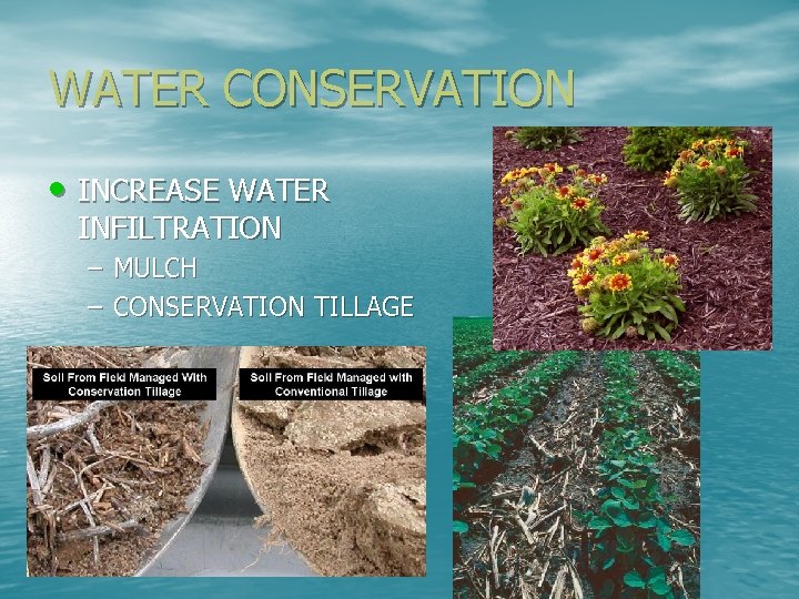 WATER CONSERVATION • INCREASE WATER INFILTRATION – MULCH – CONSERVATION TILLAGE 