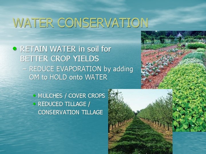 WATER CONSERVATION • RETAIN WATER in soil for BETTER CROP YIELDS – REDUCE EVAPORATION WATER CONSERVATION • RETAIN WATER in soil for BETTER CROP YIELDS – REDUCE EVAPORATION