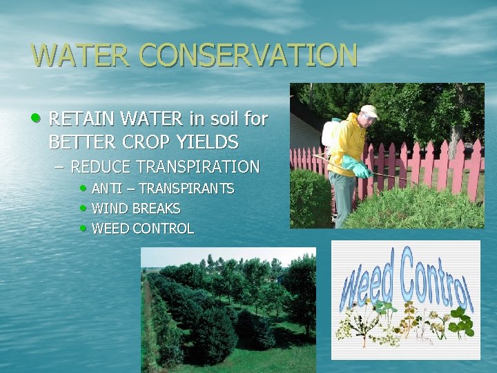 WATER CONSERVATION • RETAIN WATER in soil for BETTER CROP YIELDS – REDUCE TRANSPIRATION