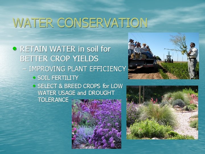 WATER CONSERVATION • RETAIN WATER in soil for BETTER CROP YIELDS – IMPROVING PLANT