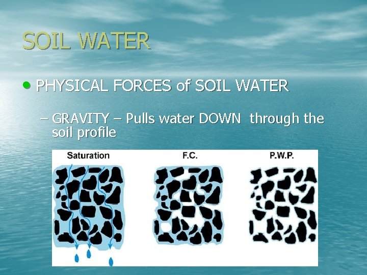 SOIL WATER • PHYSICAL FORCES of SOIL WATER – GRAVITY – Pulls water DOWN