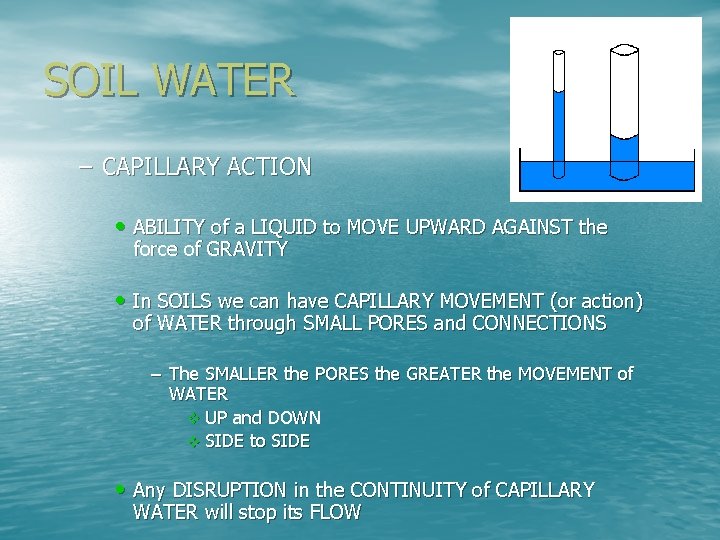 SOIL WATER – CAPILLARY ACTION • ABILITY of a LIQUID to MOVE UPWARD AGAINST