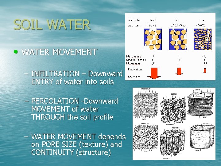 SOIL WATER • WATER MOVEMENT – INFILTRATION – Downward ENTRY of water into soils