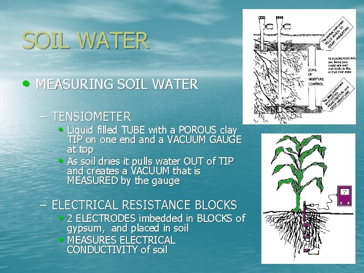 SOIL WATER • MEASURING SOIL WATER – TENSIOMETER • Liquid filled TUBE with a