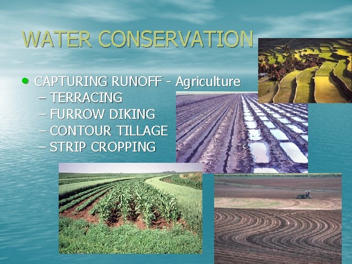 WATER CONSERVATION • CAPTURING RUNOFF - Agriculture – TERRACING – FURROW DIKING – CONTOUR