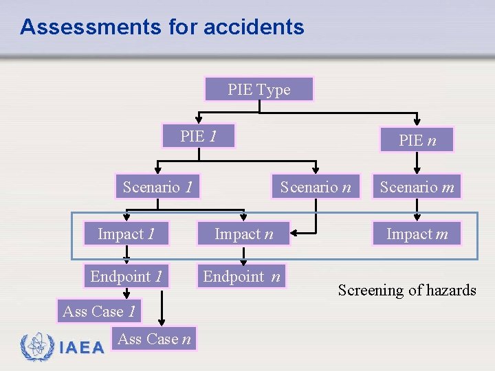 Assessments for accidents PIE Type PIE 1 Scenario n Impact 1 Impact n Endpoint