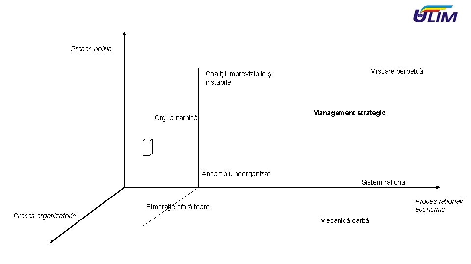 Proces politic Mişcare perpetuă Coaliţii imprevizibile şi instabile Management strategic Org. autarhică Ansamblu neorganizat