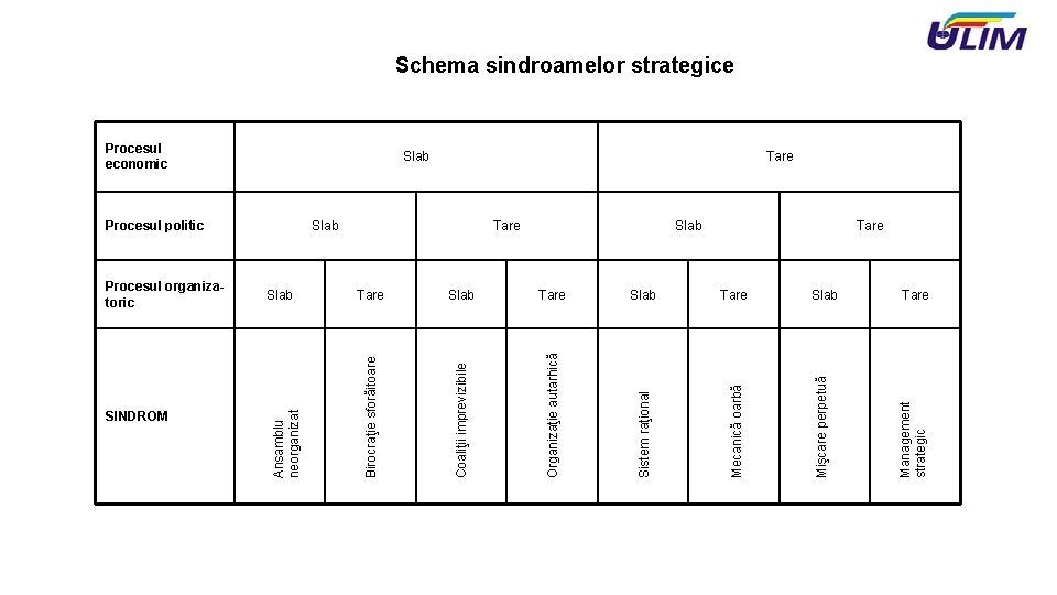 Schema sindroamelor strategice Slab Tare Management strategic Tare Mecanică oarbă Tare Sistem raţional Slab