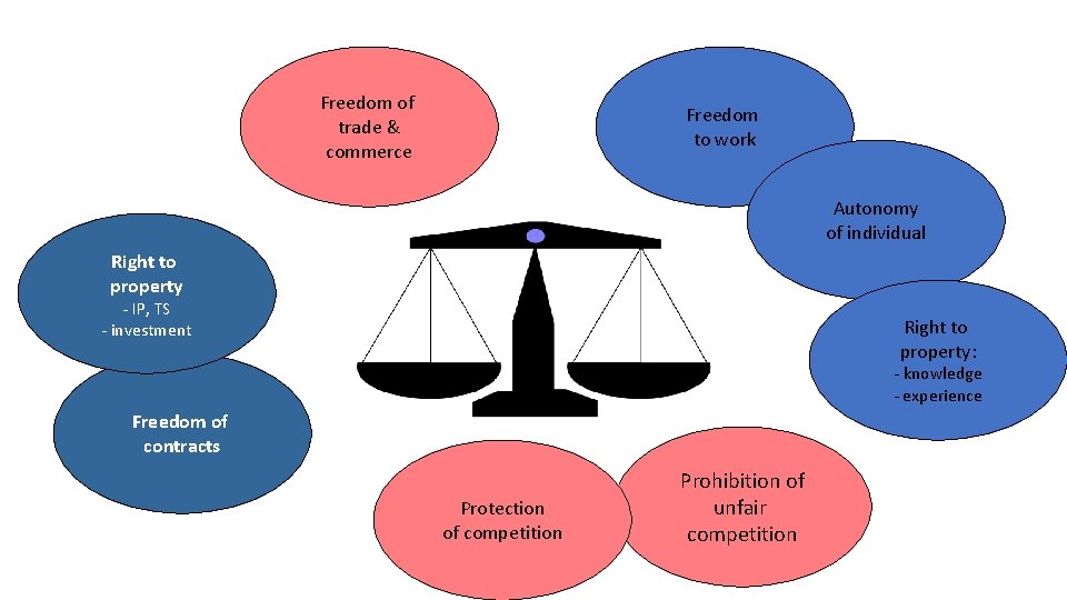 Freedom of trade & commerce Freedom to work Autonomy of individual Right to property