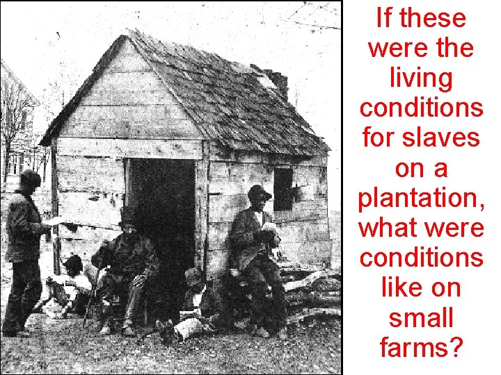 If these were the living conditions for slaves on a plantation, what were conditions