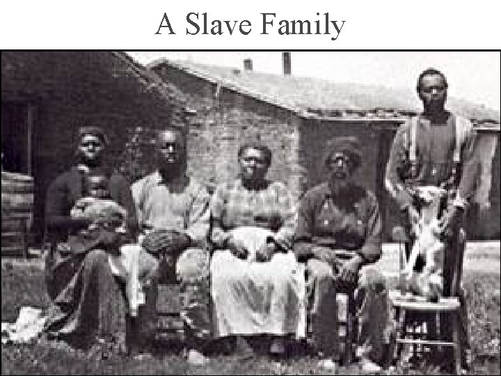 A Slave Family 