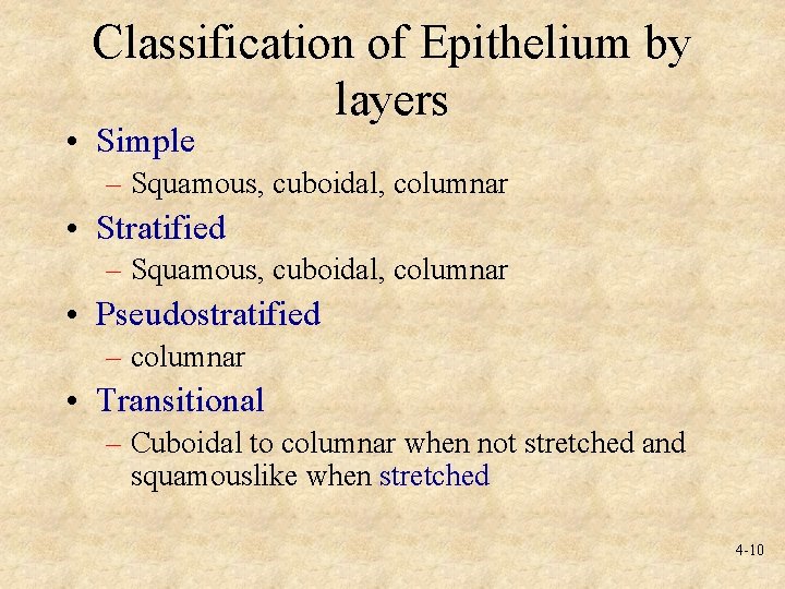 Classification of Epithelium by layers • Simple – Squamous, cuboidal, columnar • Stratified –