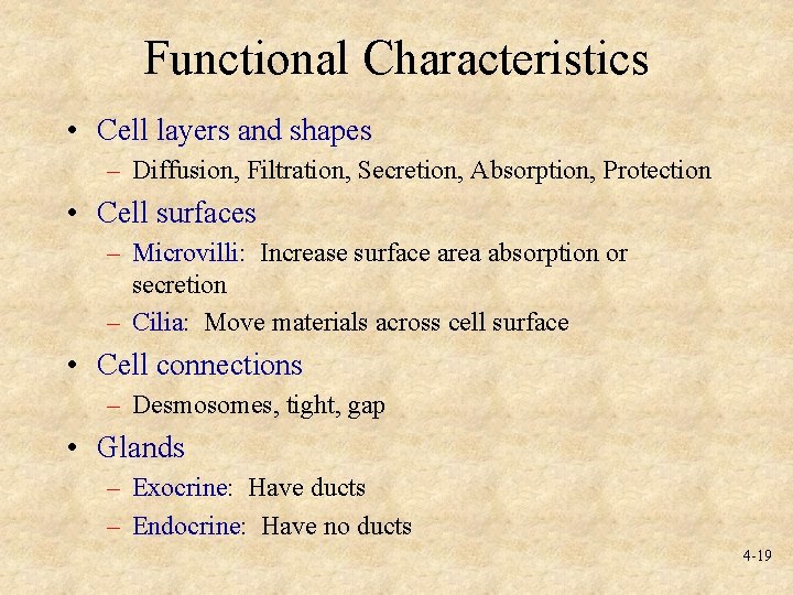 Functional Characteristics • Cell layers and shapes – Diffusion, Filtration, Secretion, Absorption, Protection •