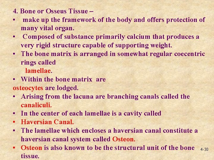 4. Bone or Osseus Tissue – • make up the framework of the body