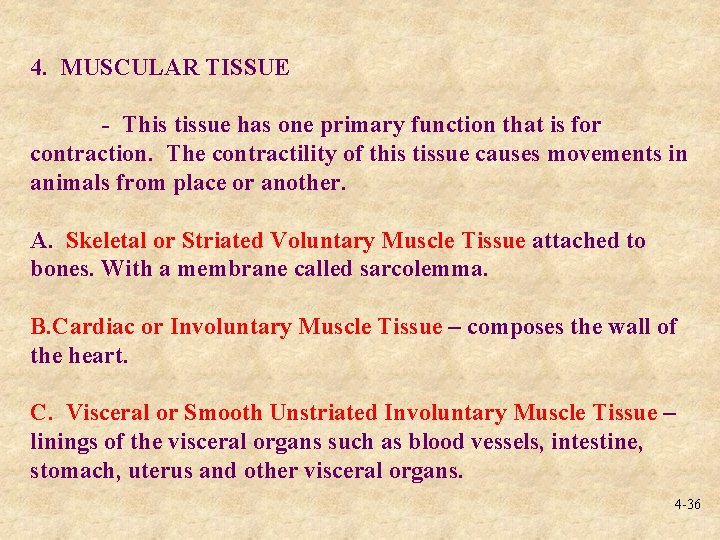 4. MUSCULAR TISSUE - This tissue has one primary function that is for contraction.