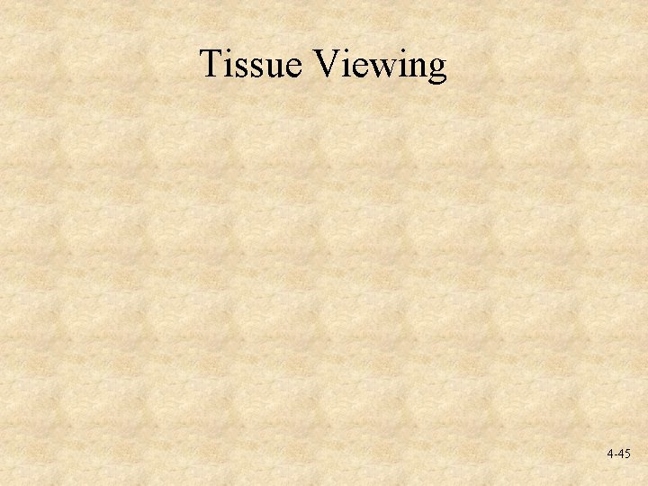 Tissue Viewing 4 -45 