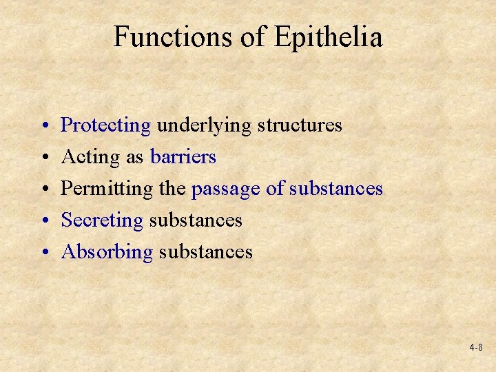 Functions of Epithelia • • • Protecting underlying structures Acting as barriers Permitting the
