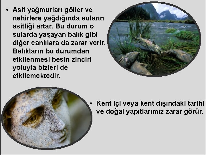  • Asit yağmurları göller ve nehirlere yağdığında suların asitliği artar. Bu durum o