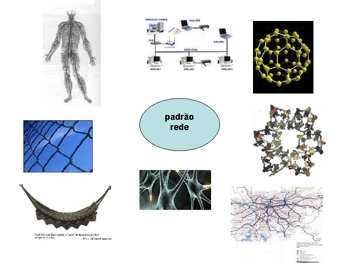 padrão rede 