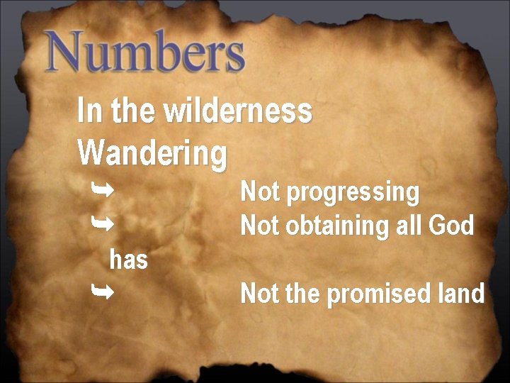 In the wilderness Wandering has Not progressing Not obtaining all God Not the promised