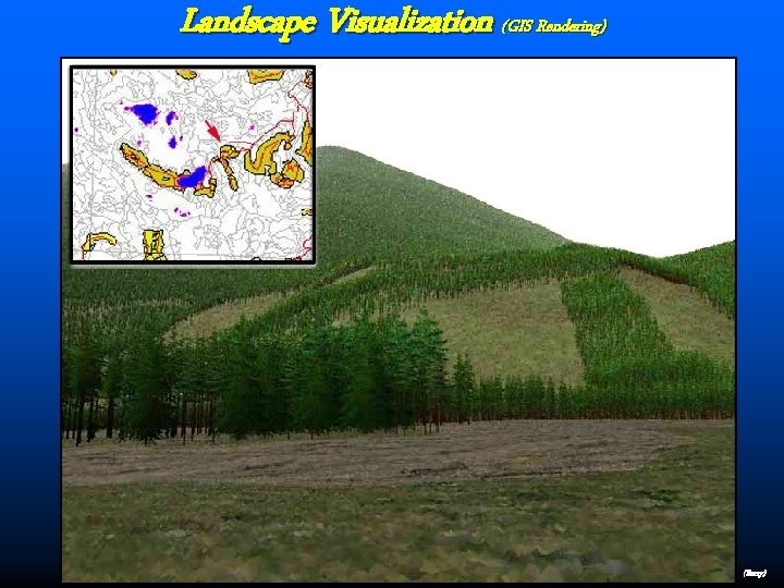 Landscape Visualization (GIS Rendering) (Berry) 