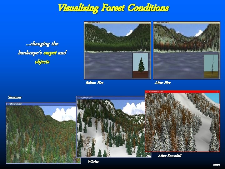 Visualizing Forest Conditions …changing the landscape’s carpet and objects Before Fire After Fire Summer