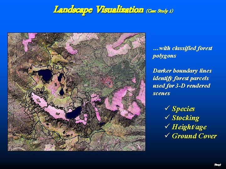 Landscape Visualization (Case Study 1) …with classified forest polygons Darker boundary lines identify forest