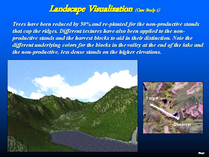 Landscape Visualization (Case Study 1) Trees have been reduced by 50% and re-planted for