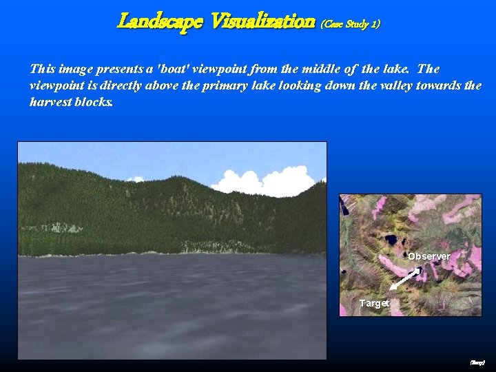 Landscape Visualization (Case Study 1) This image presents a 'boat' viewpoint from the middle