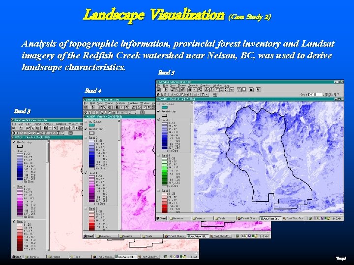 Landscape Visualization (Case Study 2) Analysis of topographic information, provincial forest inventory and Landsat