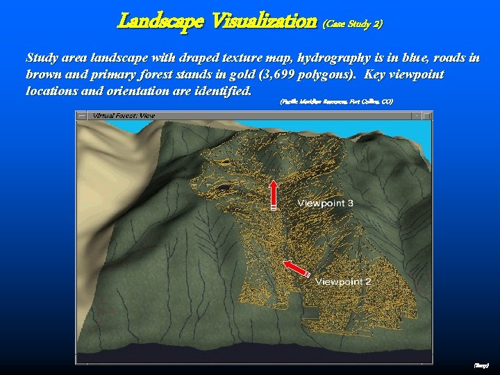 Landscape Visualization (Case Study 2) Study area landscape with draped texture map, hydrography is